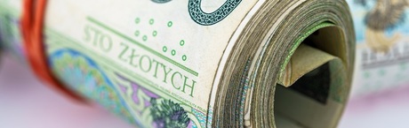 Czy Polacy „zbroją” się w gotówkę?