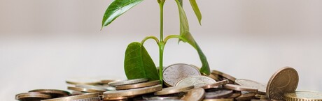 Działy finansowo-księgowe muszą dostosować się do wymogów ESG