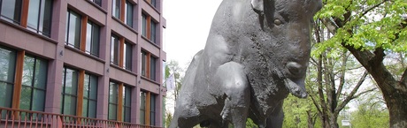 Kolejny solidny kwartał Banku Pekao