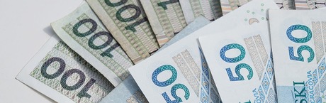 Kurs złotego na uwięzi