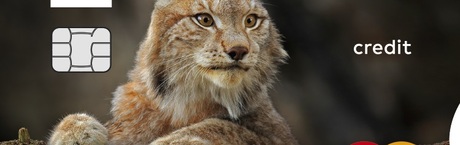 Nowy wizerunek WWF Millennium Mastercard