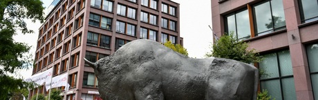 Pekao pośród najbezpieczniejszych banków w Europie Środkowo-Wschodniej