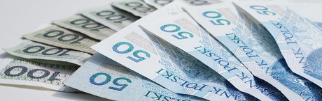 Stopy bez zmian. Złoty do euro stabilny
