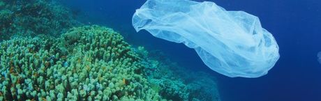 W 2050 roku w oceanach będzie więcej plastiku niż ryb