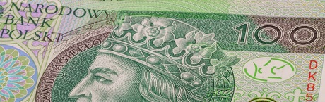 Złoty odżywa po „standardowej” obniżce stóp