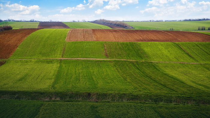Dzierżawa podstawową formą zagospodarowania państwowej ziemi Dzierżawa podstawową formą zagospodarowania państwowej ziemi