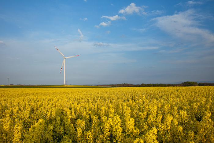 Inwestycje Tauronu przyniosą zysk i obniżą ceny energii