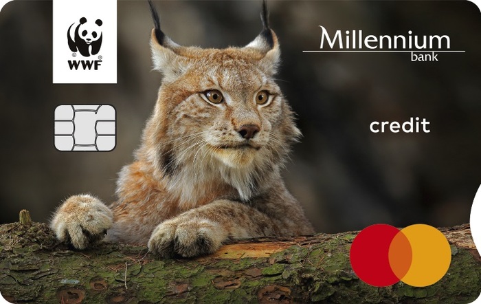 Nowy wizerunek WWF Millennium Mastercard