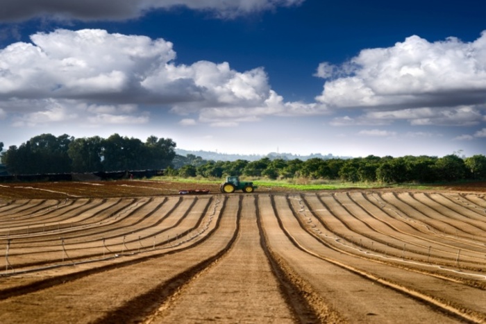 Prace nad projektem nowelizacji ustawy o kształtowaniu ustroju rolnego trwają:
