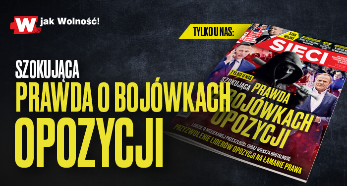 „Sieci”: Szokująca prawda o bojówkach opozycji