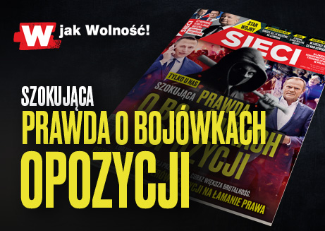 „Sieci”: Szokująca prawda o bojówkach opozycji
