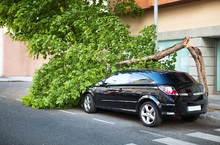 Konar wgniótł maskę? Sprawdź, jak sprytnie i niedrogo ubezpieczyć auto od niszczycielskiej siły żywiołów